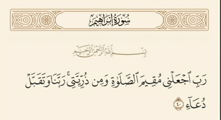 أنوار
