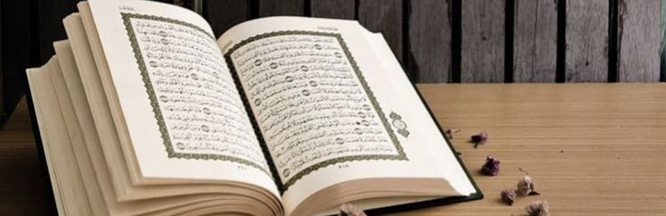 وفدا