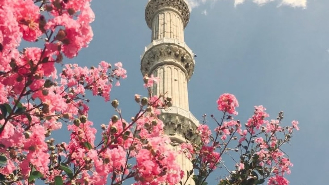 خطبة في الحياة الطيبة