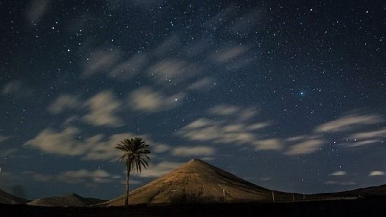 خطبة في التوكل